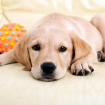 4a5sdf45adfadf4a45df